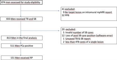 Combining targeted and systematic prostate biopsy improves prostate cancer detection and correlation with the whole mount histopathology in biopsy naïve and previous negative biopsy patients
